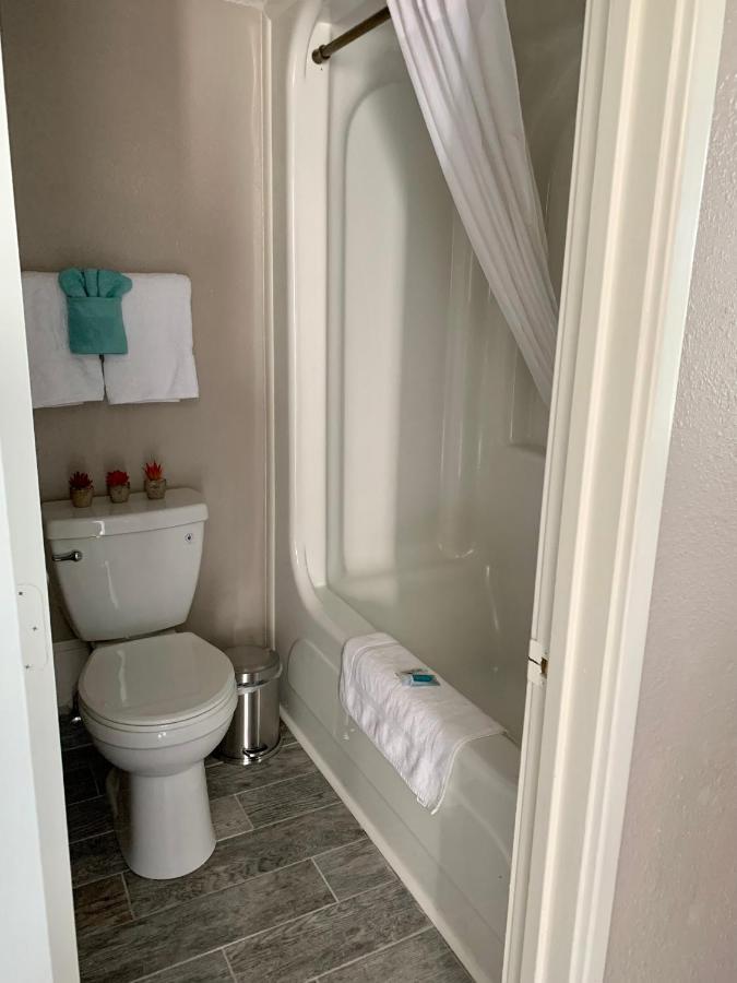 1726 Ocean View Galore Pets Are Welcome شاطئ ميرتل المظهر الخارجي الصورة