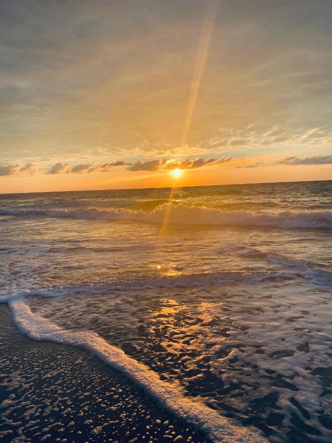 1726 Ocean View Galore Pets Are Welcome شاطئ ميرتل المظهر الخارجي الصورة
